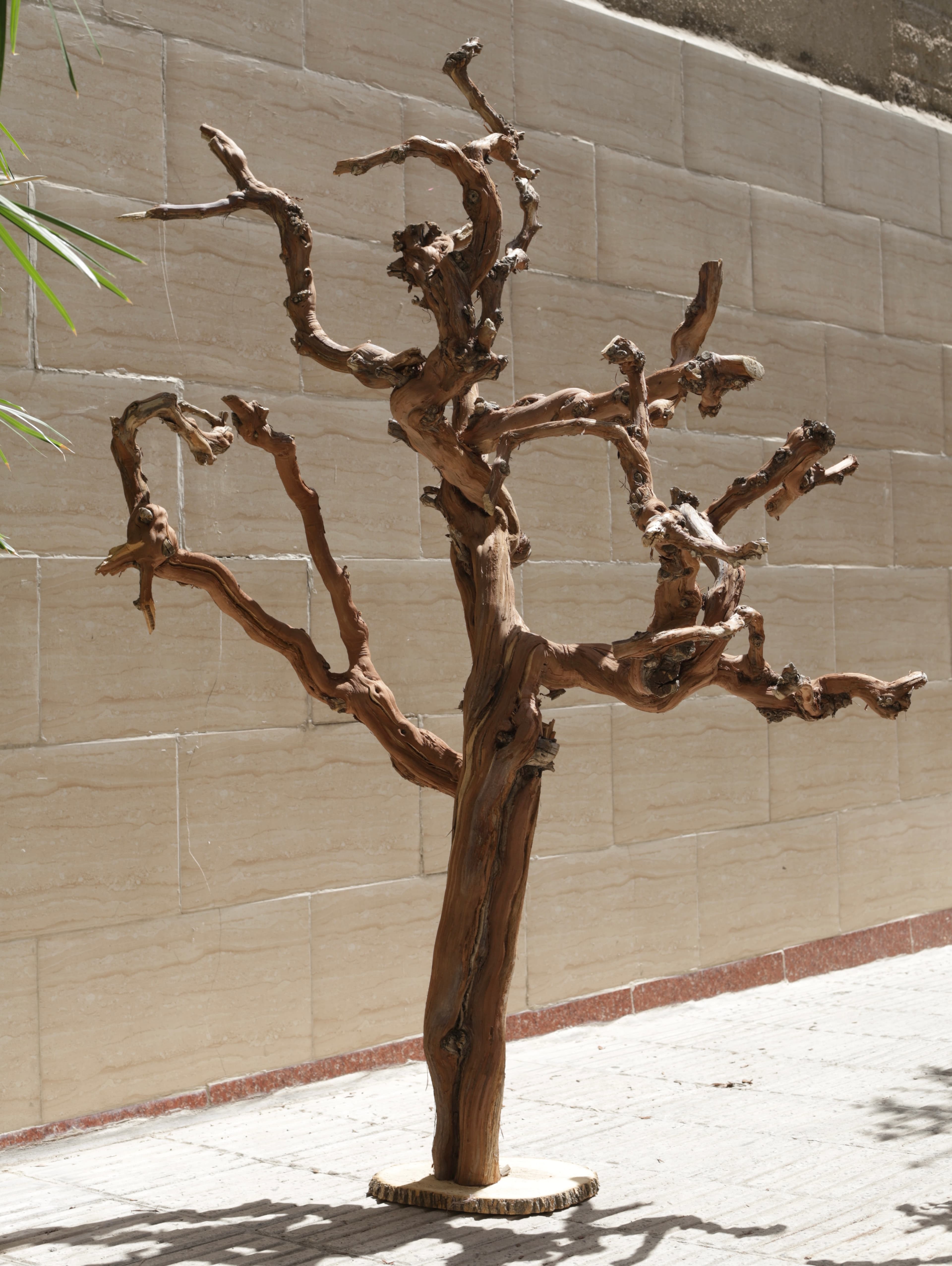 کیکو — نمای دوم