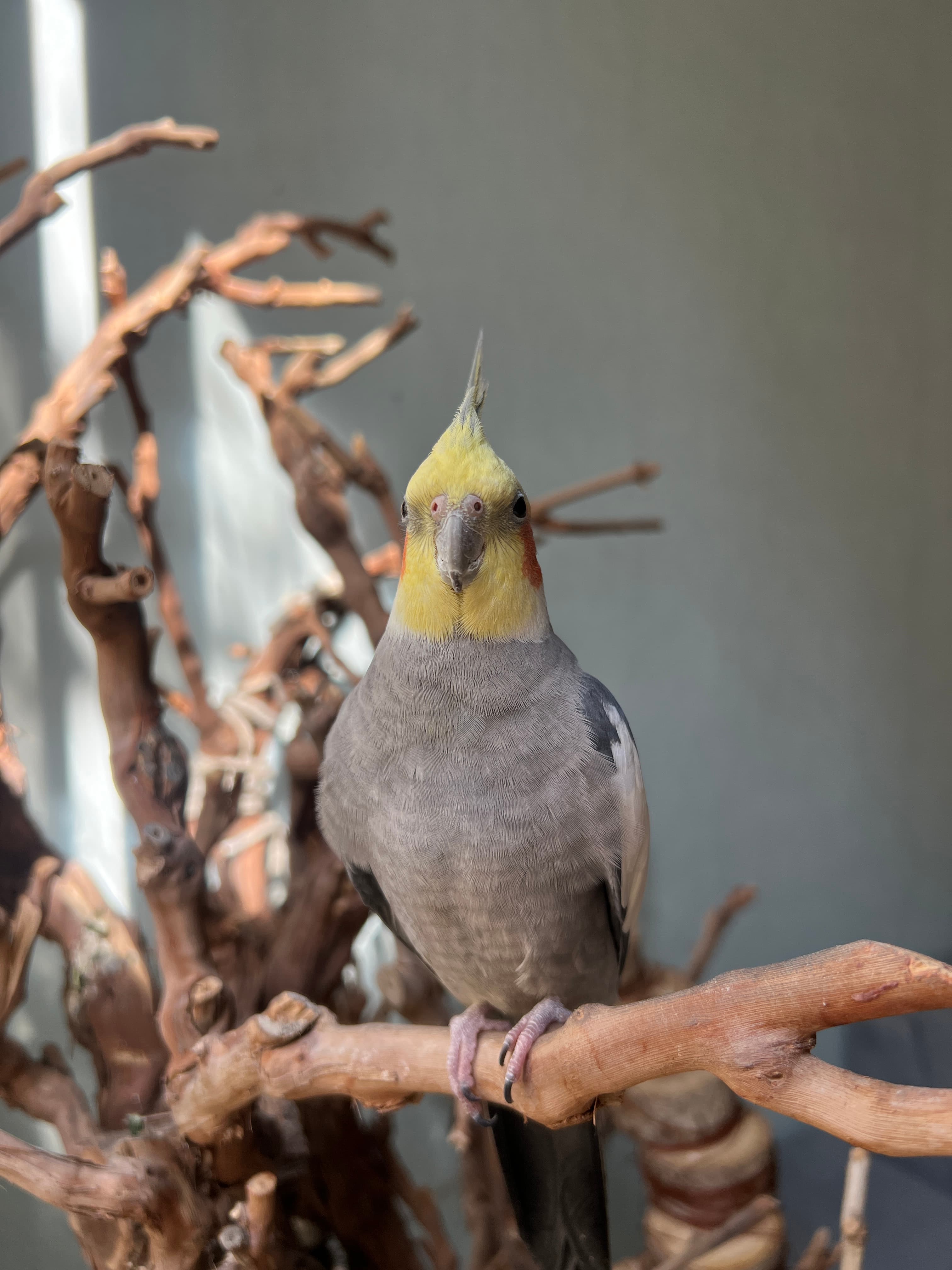 عکس جامعه از خانههای نمکینگ 9